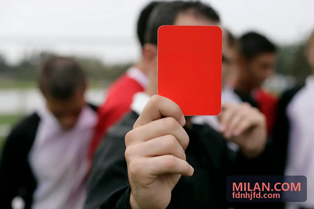 MILAN.COM 可持续供应链
